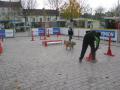 Agility : mise en place du parcours