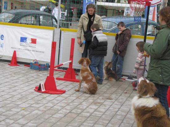 Place aux jeunes