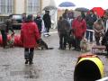 03-12-2011-agility-2.jpg